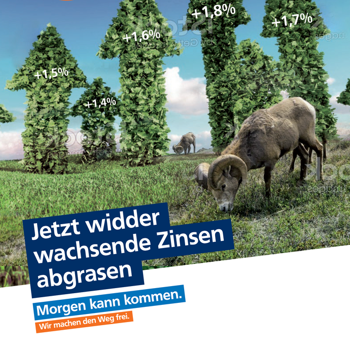 Endlich gibt es wieder mehr Ertrag auf der Anlegerwiese!